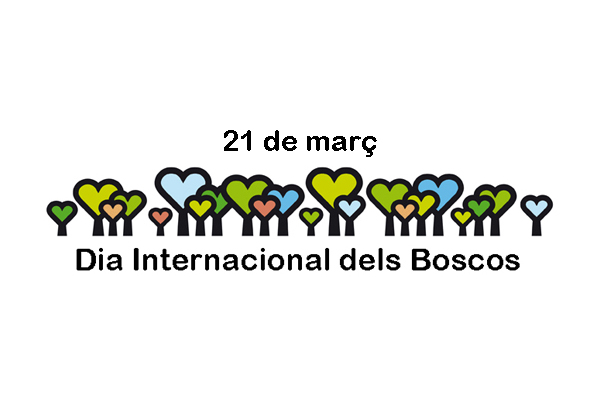 Campanya “Fotografia el teu bosc” per a commemorar el Dia Internacional dels Boscos