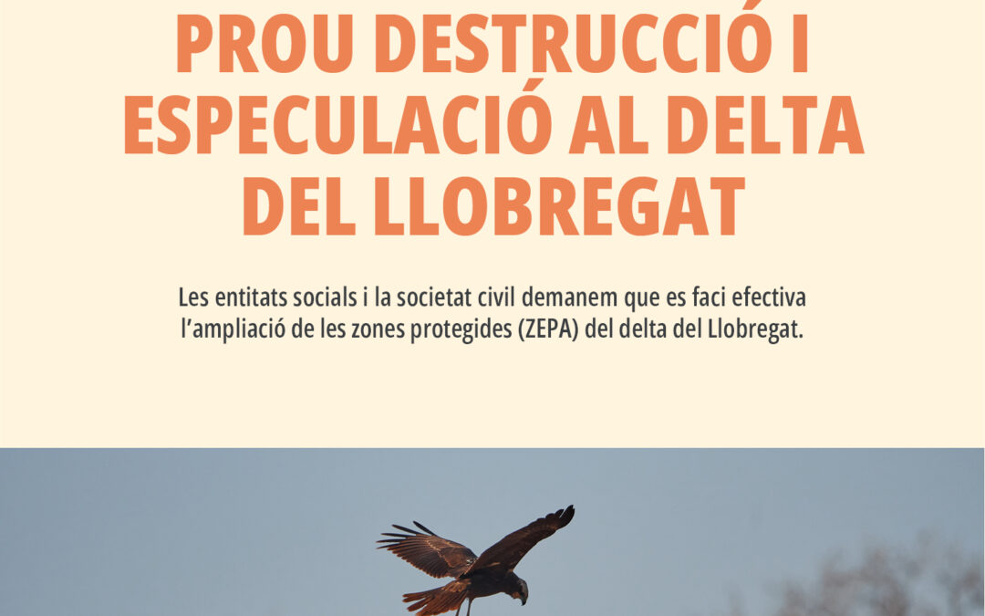 Organitzacions socials i ambientals reclamen de nou al Govern que faci efectiva urgentment l’ampliació de la ZEPA del Delta del Llobregat