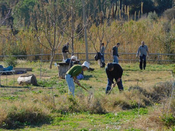 GAF: Grup d’Acció Forestal