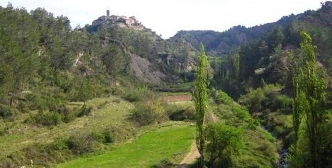 DEPANA presenta un recurs contenciós administratiu contra la construcció d’una depuradora a Santa Maria d’Oló