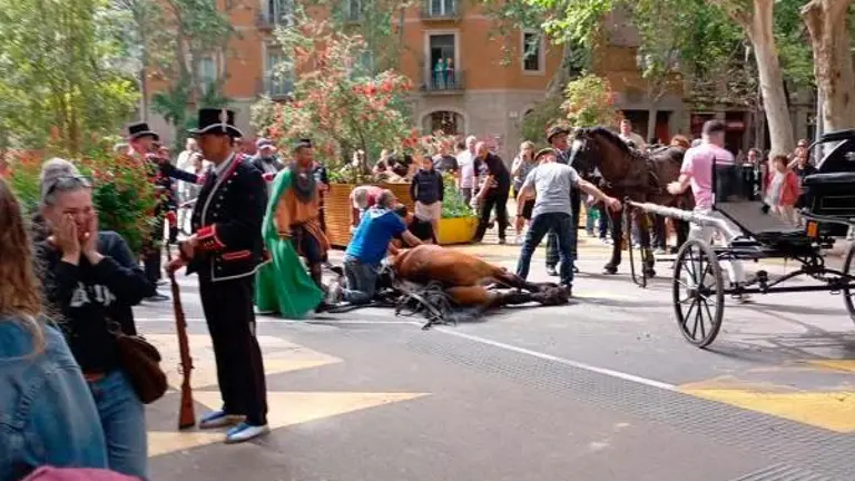 S’obre oficialment a Barcelona el debat per a eliminar l’ús d’animals al Tres Tombs
