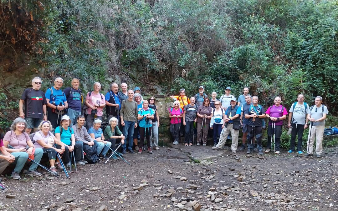Del pantà a la ciutat: una caminada de Collserola fins a Barcelona